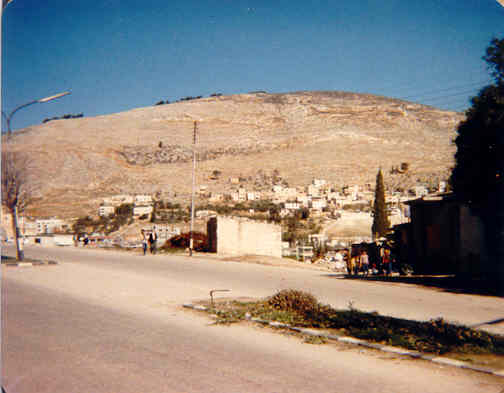 �԰�·ɽ (20545 bytes)