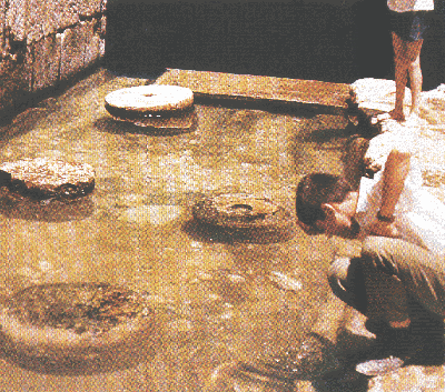 �����ǳ�(����) (123953 bytes)