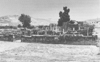 ����ɭ (96716 bytes)